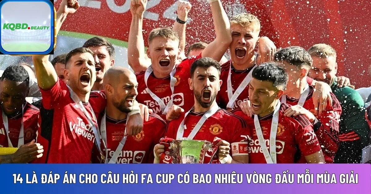 FA Cup có bao nhiêu vòng đấu